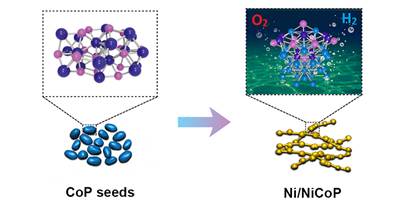 多维度Ni/NiCoP核壳异质结构全解水催化剂：形貌效应和电子结构效应